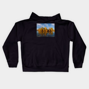 Gold Reflection Kids Hoodie